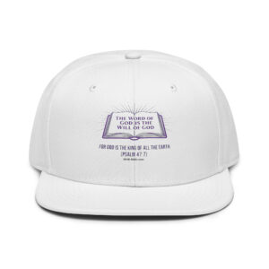 Snapback Hat